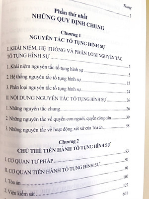 Pháp Luật Tố Tụng Hình Sự Với Việc Bảo Vệ Quyền Con Người
