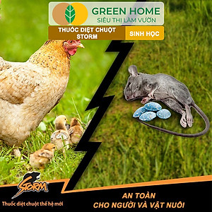 Thuốc Diệt Chuột Greenhome, Storm, Sinh Học Thế Hệ Mới, Tận Gốc, Cả Tổ, An Toàn Với Người, Vật Nuôi