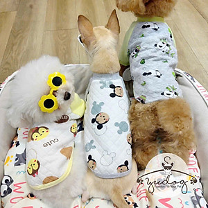 ÁO THUN NỈ PHOM RAGLAN MẶC ẤM CHO THÚ CƯNG CHÓ MÈO