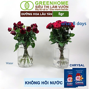 Dưỡng Hoa Lâu Tàn Greenhome, Chrysal, Gói 5gr, Phân Bón Cho Hoa Cắt Cành, Lâu Tàn, Nở Bông To, Không Bị Hôi Nước