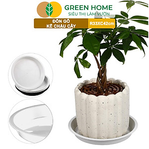 Đĩa Nhựa Lót Chậu Cây Greenhome, Nhiều Kích Cỡ, Hứng Nước Giúp Sạch Bàn, Sàn, Nhựa Nguyên Sinh, Bền, Đẹp, Chóng Rơi Vỡ