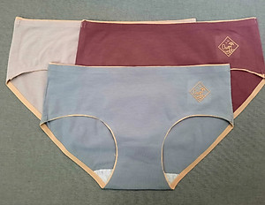 Combo 10 Quần Lót Nữ Cao Cấp O2 - Kháng Khuẩn Chống Viêm - Không Đường May - Freesize ( Màu ngẫu nhiên)