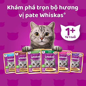 [Combo 12 Gói] Thức Ăn Cho Mèo WHISKAS 1+ years Vị Cá Ngừ 80g/Gói
