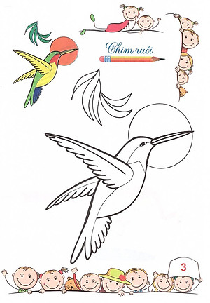 Sách Tô Màu - Mẫu Giáo - Các Loài Chim