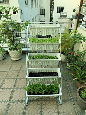 1L Phân Hữu Cơ Vi Sinh pha ra 300L Bón Rau, Hoa Cảnh & Cây Ăn Trái