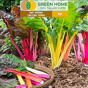 Hạt Giống Rau Cải Cầu Vồng Greenhome, Gói 5g~200 hạt, Dễ Trồng Quanh Năm, Nảy Mầm Cao, Thu Hoạch Nhanh, Năng Suất Cao R06