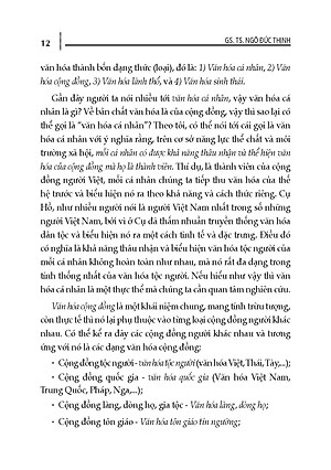 Văn Hóa Vùng Và Phân Vùng Văn Hóa Việt Nam (Tái bản 2025)