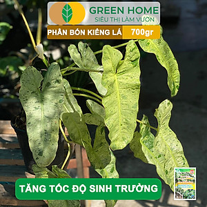 Phân Bón Cây Kiểng Lá Greenhome, Bao 700gr, Trầu Bà Monstera, Cây Nội Thất, Giúp Đâm Chồi Mạnh, Rễ Khoẻ, Lá To