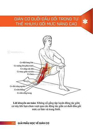 Sách - Giải Phẫu Học Về Giãn Cơ - Giãn Cơ Để Tối Ưu Sức Mạnh Cơ Bắp - Stretching Anatomy (Tái Bản 2024)
