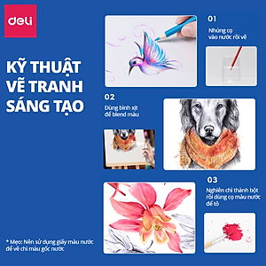 Bút Chì Màu Gốc Nước Cao Cấp Deli 24/36/48/72 Màu Hộp Thiếc - Không Dễ Gãy Tô Vẽ Tranh Chuyên Nghiệp