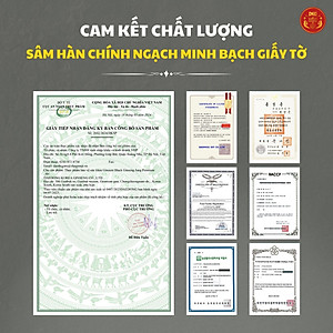 Hắc sâm cao cấp Premium 7mg/g (10ml*30 stick) – Daedong