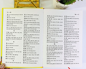 NDB - Từ điển Trung việt