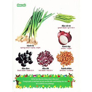 Sách: Từ Điển Tranh Về Rau - Củ - Quả - Hoa (Bìa mềm)
