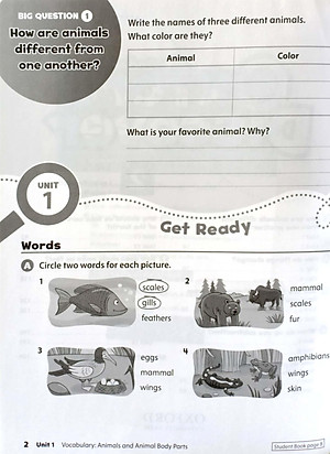 Oxford Discover: Level 2: Workbook With Online Practice - 2nd Edition