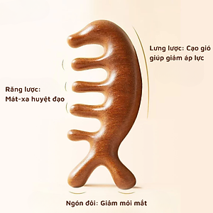 Lược Gỗ Đàn Hương Đầu Cá Heo Massage Kinh Tuyến, Da Đầu