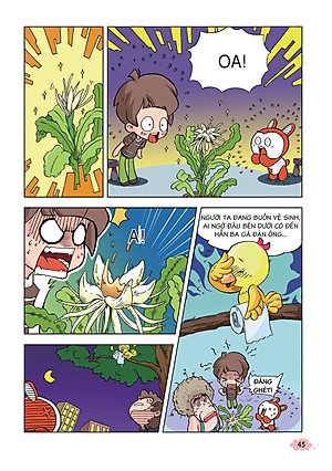 Sách 10 Vạn Câu Hỏi Vì Sao - Khám Phá Thế Giới Thực Vật (Tái Bản 2018)