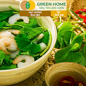 Hạt Giống Rau Má Greenhome, Gói 1g, Dễ Trồng Quanh Năm, Nảy Mầm Cao, Thu Hoạch Nhanh, Năng Suất Cao R12