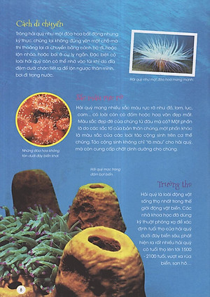 Sách Động Vật Xinh Đẹp