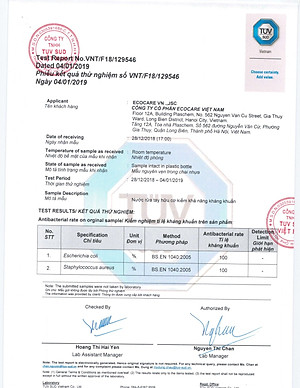 Nước rửa tay hữu cơ diệt khuẩn dạng bọt hương Cam 4Ll thương hiệu Ecocare