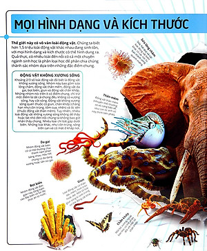 Sách Các Siêu Sao Trong Giới Động Vật