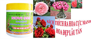 Bộ 3 hủ phân bón dưỡng cây tốt lá nhiều hoa Kina Novi 999 (3 hủ x 100g)
