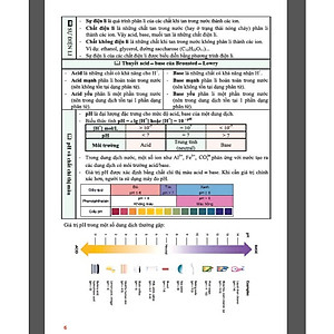 Tham Khảo Hóa Học Lớp 11 - Biên soạn theo chương trình GDPT mới