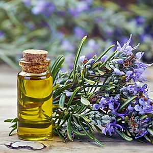 Tinh dầu Hương Thảo nguyên chất từ thiên nhiên, xông phòng, khử mùi, thơm phòng, đuổi muỗi - KingOil