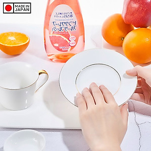 Dung dịcch rửa bát chén chiết xuất từ thiên nhiên hương táo - Hàng Nội Địa Nhật