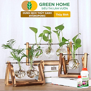 Dung Dịch Thủy Canh Greenhome, Lavamix, Phân Bón Cây Thuỷ Sinh, Hoa Sen, An Toàn Cho Cá, Tép Cảnh