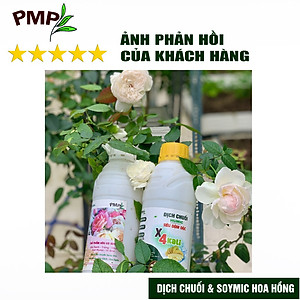 Phân Bón Hoa Hồng Combo Phân Đậu Nành Soymic - Dịch Chuối Humic ( 2 Chai x 1 L)