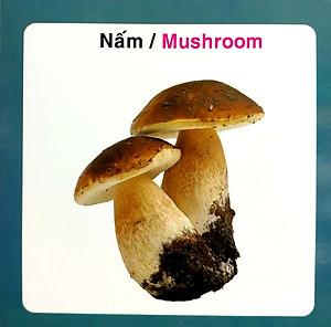 Từ Điển Hình Ảnh Cho Bé - Rau Củ