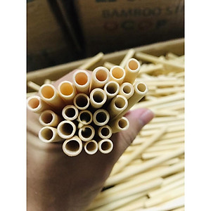 Bộ 10 ống hút tre ONGTRE chiều dài 20cm dùng cho nhà hàng, khách sạn, quà tặng doanh nghiệp