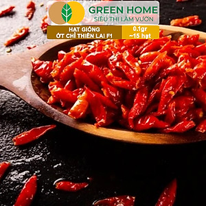 Hạt Giống Ớt Chỉ Thiên Greenhome, Gói 1gr, Sai Trái, Siêu Cay, Dễ Trồng Quanh Năm, Nảy Mầm Cao, Thu Hoạch Nhanh G10