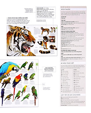 Sách Lịch Sử Tự Nhiên