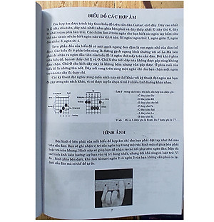 Sách Hướng Dẫn Học Đàn Guitar - Các Thế Bấm Hợp Âm