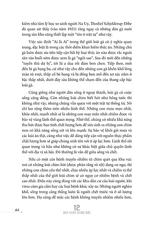 Sách 12 Quy Luật Cuộc Đời: Thần Dược Cho Cuộc Sống Hiện Đại