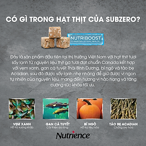  Thức Ăn Hạt Cho Mèo Nutrience Subzero Bao 5kg - Thịt Gà, Cá Hồi, Cá Tuyết, Rau Củ, Trái Cây Tự Nhiên