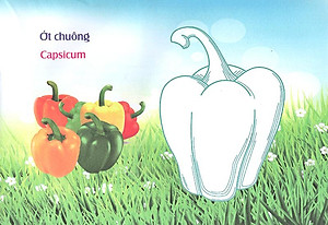 Sách Bé Làm Quen Môi Trường - Rau Củ