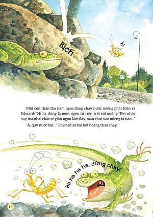 Truyện Tranh Khoa Học Về Các Loài Côn Trùng - Hiệp Sĩ Dũng Cảm - Bọ Ngựa