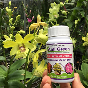 Phân bón AMI GREEN chuyên giải độc chống sốc cho Lan hoa cảnh giúp tốt rễ - bật mầm - xanh lá