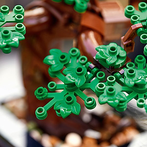 Đồ Chơi Lắp Ráp LEGO CREATOR Cây Bonsai 10281