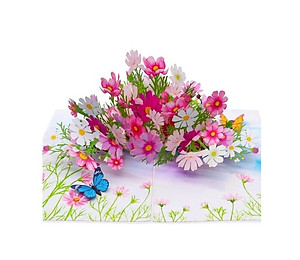 Thiệp 3D Pop Up Hoa Cánh Bướm (Cosmos) – Thiệp Hoa Chúc Mừng, Sinh Nhật, Lãng Mạn, F42