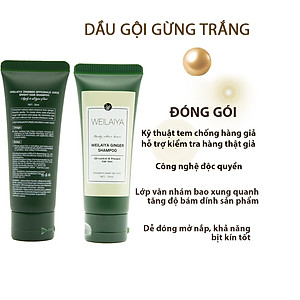 Bộ Dầu Gội Xả Weilaiya Tinh Chất Gừng, Hà Thủ Ô Cao Cấp Ngăn Rụng Tóc, Dưỡng Tóc Giúp Mọc Tóc(Bản 20ml)- Sản phẩm chính hãng