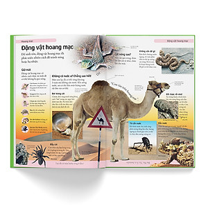 Sách Bách Khoa Cho Trẻ Em – Bách Khoa Tự Nhiên