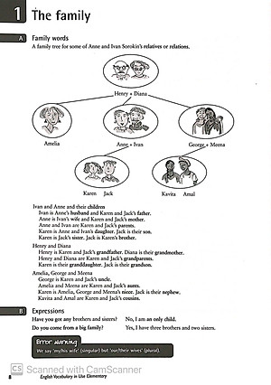 English Vocabulary in Use: Elementary Book with Answers Reprint Edition: Vocabulary Reference and Practice (CD-ROM)