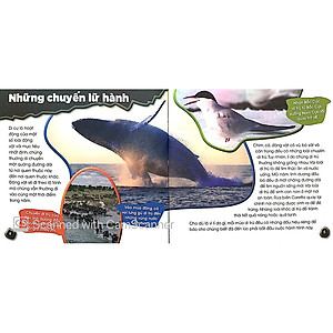 Sách Độc Lạ Phi Thường - Lữ Khách Thường Niên