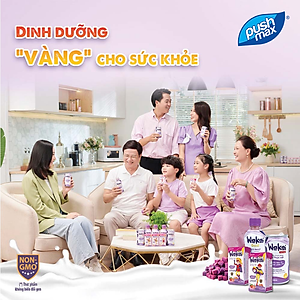 Thùng 24 Lon Sữa Chua Uống Từ Thực Vật Wakai Active (250ml x 24 lon)