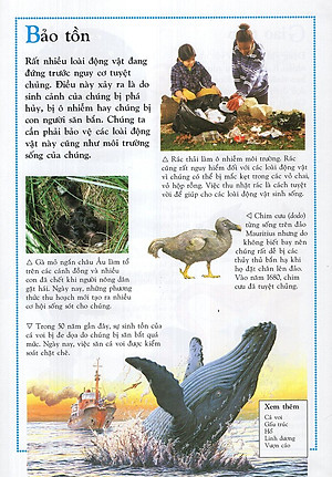 Sách Bách Khoa Động Vật Cho Trẻ Em