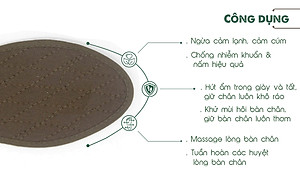 Lót giày vải cotton Hương quế CI-03 làm từ vải cotton - bột quế giúp hút ẩm - khử mùi - phòng cảm cúm và cải thiện sức khoẻ