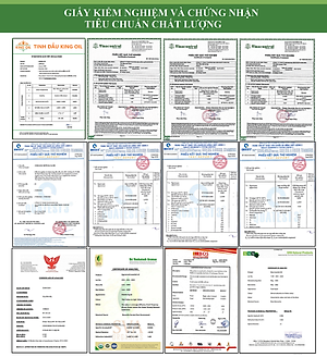 Tinh dầu Nụ Đinh Hương 100ml nguyên chất từ thiên nhiên - KingOil